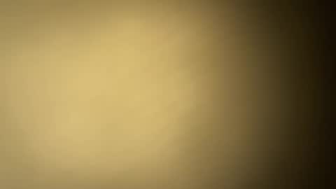 BRUCE online show from 01-30-25, 01:22