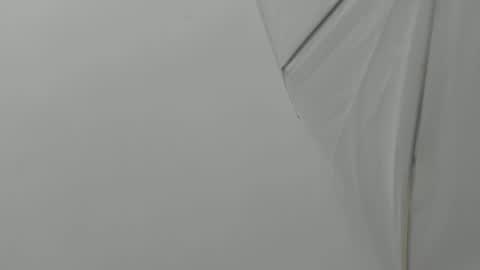 Bruno Bellini online show from 11-23-25, 11:10