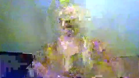 Snapshot of buffjezza27 chatting on 06-02-26, 03:36 buffgymjunkie27 online show from 06-02-26, 03:36