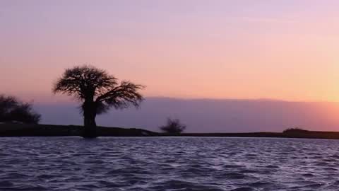 Snapshot of bugphobic chatting on 12-04-25, 08:39 rskbing online show from 12-04-25, 08:39