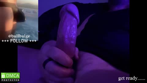 Bull. online show from 11-17-25, 07:19