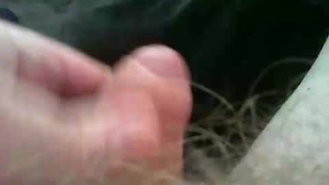 Snapshot of bullemoe chatting on 11-02-25, 11:23 bullemoe online show from 11-02-25, 11:23