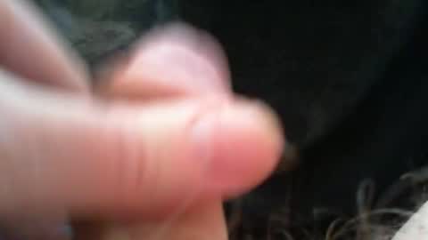 Snapshot of bullemoe chatting on 12-15-25, 09:13 bullemoe online show from 12-15-25, 09:13