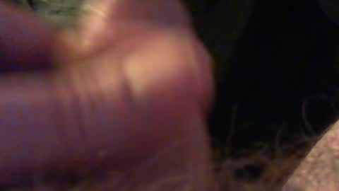 Snapshot of bullemoe chatting on 12-15-25, 09:52 bullemoe online show from 12-15-25, 09:52