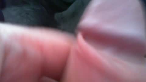 Snapshot of bullemoe chatting on 02-07-26, 12:42 bullemoe online show from 02-07-26, 12:42