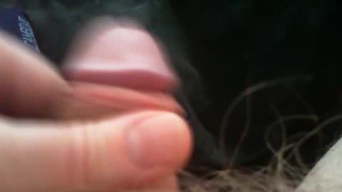 Snapshot of bullemoe chatting on 03-06-26, 07:05 bullemoe online show from 03-06-26, 07:05