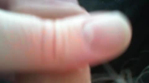 Snapshot of bullemoe chatting on 03-09-26, 12:31 bullemoe online show from 03-09-26, 12:31