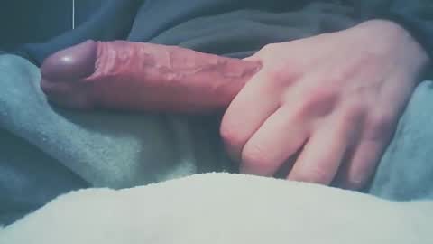 Dutch cock online show from 12-27-24, 08:24