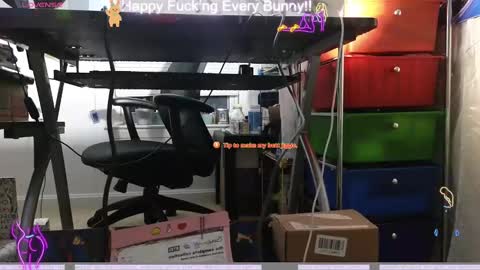 Tokki  bunny  online show from 12-09-24, 03:50