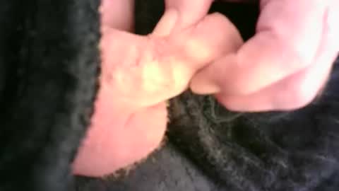 Hamish online show from 11-23-25, 12:32