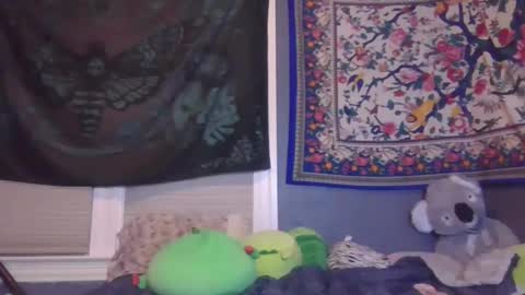 lilly online show from 02-02-25, 10:46