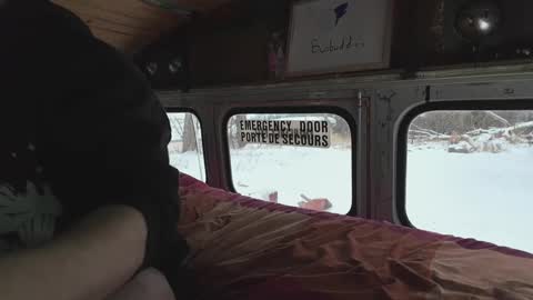 busbuddies online show from 12-29-24, 04:19