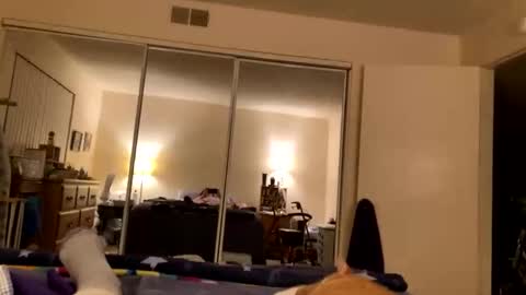 Snapshot of busty_2008 chatting on 03-05-26, 05:47 busty_2008 online show from 03-05-26, 05:47