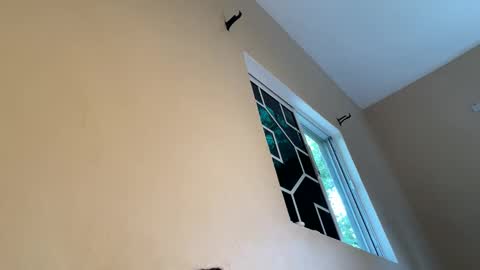 bustyirie online show from 04-09-26, 02:55