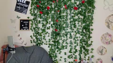 butterfly booty online show from 11-01-25, 02:19