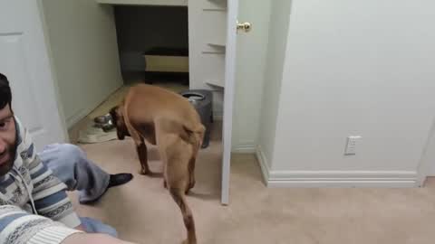 Snapshot of c2cmee chatting on 12-26-24, 09:55 c2cmee online show from 12-26-24, 09:55