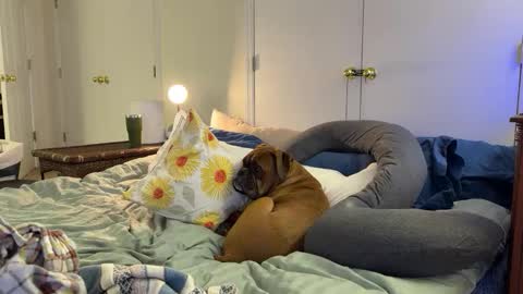 Snapshot of c2cmee chatting on 03-09-26, 04:38 c2cmee online show from 03-09-26, 04:38