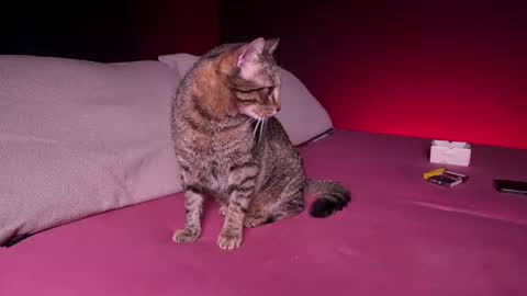 CQ online show from 02-24-25, 07:44