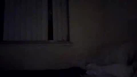 Snapshot of caga_palos chatting on 02-17-26, 04:31 caga_palos online show from 02-17-26, 04:31