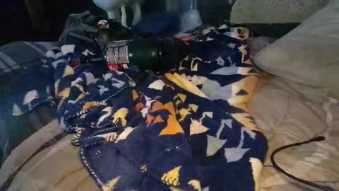 Calisguitar online show from 12-29-24, 09:30