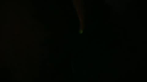 Charly online show from 07-10-26, 12:19