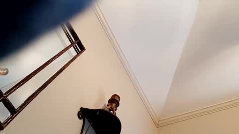 camerontaylorcub online show from 12-03-24, 05:12