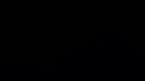 camilio96 online show from 12-07-24, 02:09