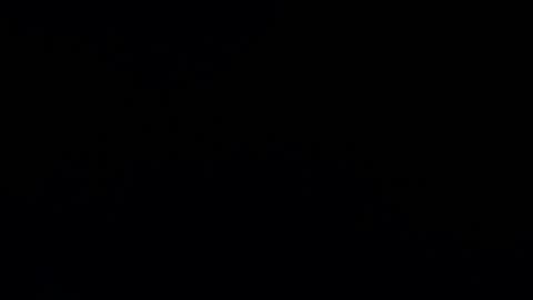 camilio96 online show from 12-12-24, 04:15