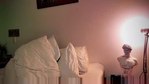 Snapshot of camilosaennz chatting on 01-20-25, 11:54 camilo online show from 01-20-25, 11:54