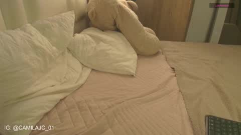 Snapshot of cammile_cole chatting on 01-18-26, 01:26 Laura Camila online show from 01-18-26, 01:26