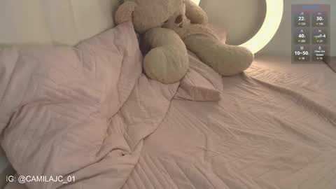 Snapshot of cammile_cole chatting on 02-10-26, 04:33 Laura Camila online show from 02-10-26, 04:33