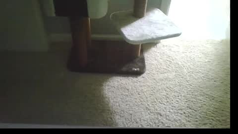 cammyman6900 online show from 09-21-25, 04:47