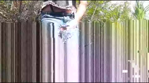 Candi Cakes online show from 03-04-26, 08:04