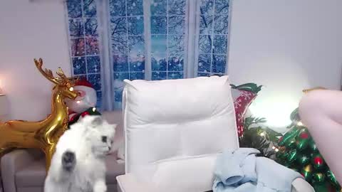 Snapshot of candy8998 chatting on 12-16-24, 12:16 candy8998 online show from 12-16-24, 12:16