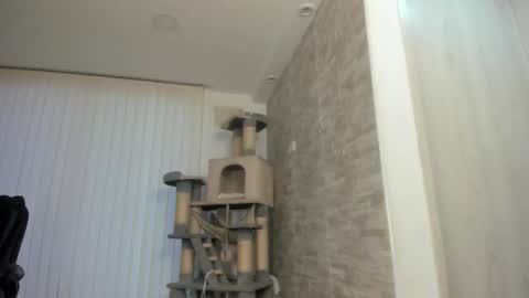 candy_queen81 online show from 11-15-25, 11:07