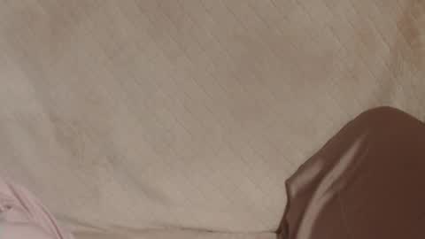 say meow and send tip  online show from 03-31-26, 06:41