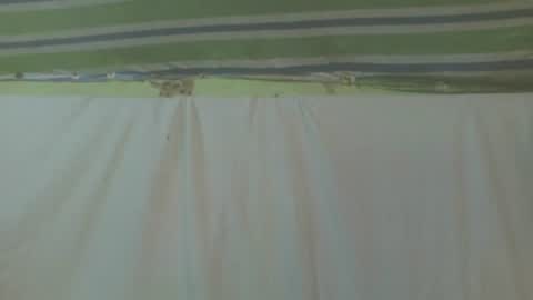 carinesexy69 online show from 10-02-25, 11:39