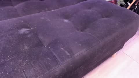 Carla online show from 12-22-24, 04:50