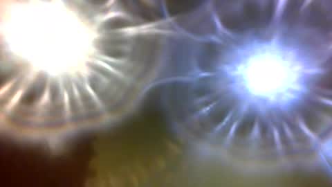 Snapshot of carlholmesjr20 chatting on 12-04-25, 11:02 carlholmesjr20 online show from 12-04-25, 11:02