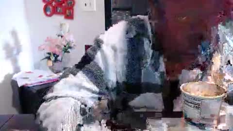 Carlie online show from 03-13-26, 02:45