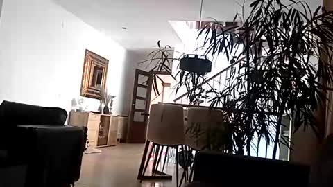 carlitito1 online show from 04-15-26, 09:16