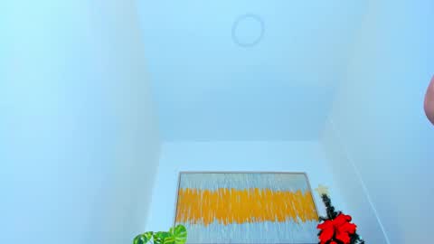 Andrea online show from 01-08-25, 03:17