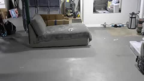 Carl online show from 06-04-26, 05:19