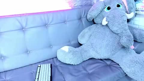 carolinejesh online show from 02-17-26, 06:03