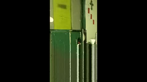 Snapshot of carrilloeverardo219 chatting on 03-25-26, 07:58 carrilloeverardo219 online show from 03-25-26, 07:58