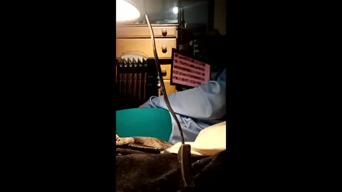 Snapshot of caryb chatting on 02-24-26, 08:56 caryb online show from 02-24-26, 08:56