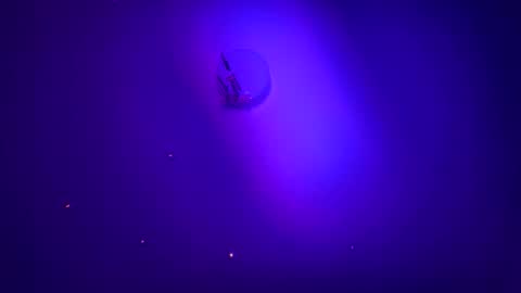 casidy1 online show from 01-21-25, 06:00