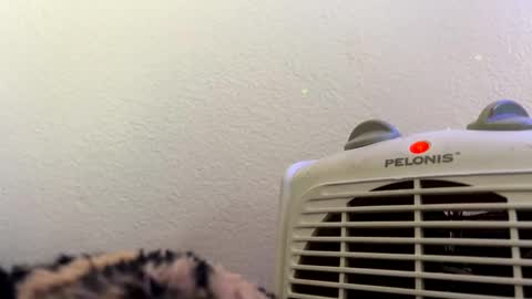 casidy1 online show from 02-28-25, 07:14