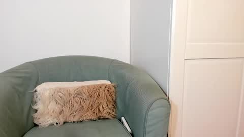 Snapshot of cassieandmarco chatting on 10-27-25, 11:03 cassiecute - onlyfans account online show from 10-27-25, 11:03