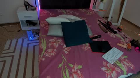 Snapshot of cassieevanss chatting on 01-24-25, 06:46 Cassie online show from 01-24-25, 06:46